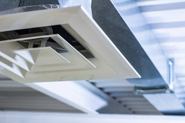 Best Dryer Vent Cleaning Services  in Whitney Point, NY