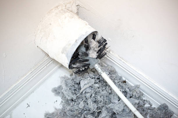 Best Air Duct Sanitizing Services  in Whitney Point, NY